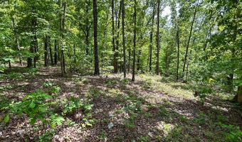 County Road 544, Bakersfield, MO 65609