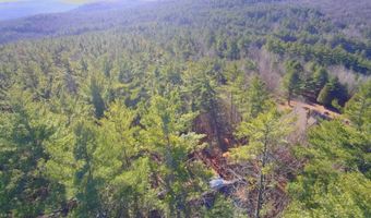 105 Pine Ln, Adirondack, NY 12808