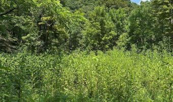 Bryant Hollow Road, Alderson, WV 24910