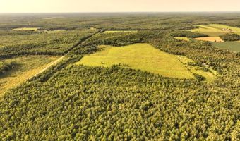 ON SURING LN unit 31 Acres 31 Acres, Argonne, WI 54511