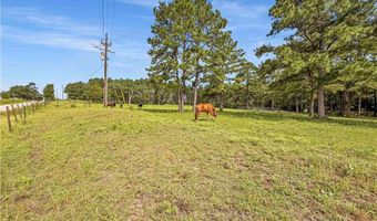 6779 County Road 215, Anderson, TX 77830