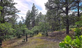 TBD Majestic View Rd, Aladdin, WY 82710