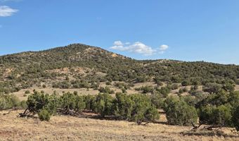 Pinon Valley Ranch lot 9, Concho, AZ 85924
