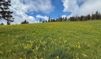 387 OLD CAMP Rd, Bellvue, CO 80512