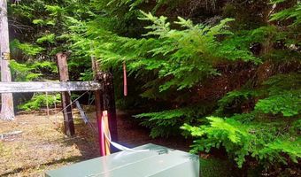 NKA Wandering Wolf Ridge Lot 3, Clark Fork, ID 83811