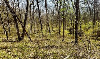 37774 State Hwy PP, Anabel, MO 63431