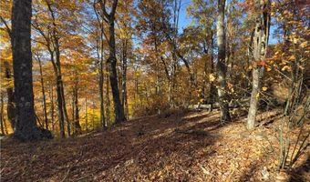 Tbd Larkspur Trail, Banner Elk, NC 28604