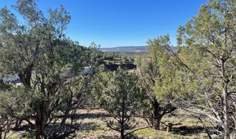 440 Run Around Rd, Arboles, CO 81121