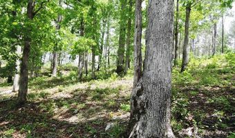 Lot 50 Shoreside Road, Double Springs, AL 35553