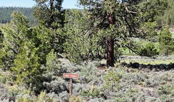 Mile Post 12 Fish Hole Creek, Bly, OR 97622