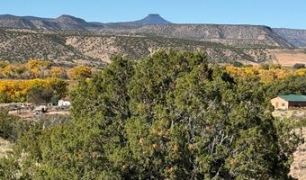 DUANE Street, Abiquiu, NM 87510