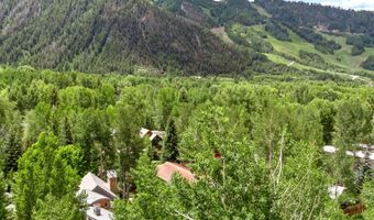 63 Smuggler Grv, Aspen, CO 81611