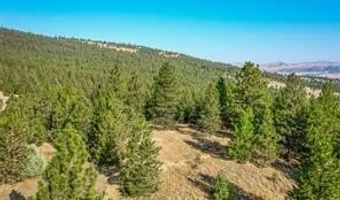 29011 Walking Horse Ln, Big Arm, MT 59910