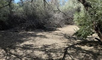 2195 Old River Rd, Fallon, NV 89406