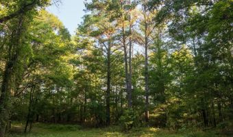 CARPENTER ROAD, Bastrop, LA 71220