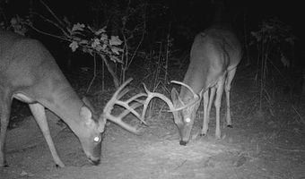 187602 N 4138 Rd, Antlers, OK 74523