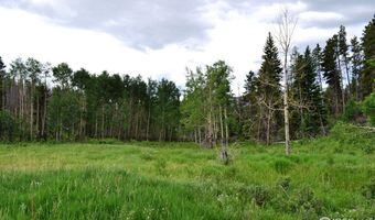 1256 Basking Dog Rd, Bellvue, CO 80512