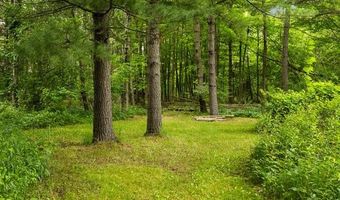 10150 S East Torch Lake Dr, Alden, MI 49612