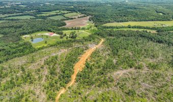 Wynn Road, Big Sandy, TN 38221