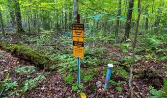 Double Bend Road, Argonne, WI 54511