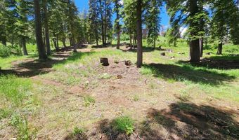 332 Snowshoe Rd, Bear Valley, CA 95223
