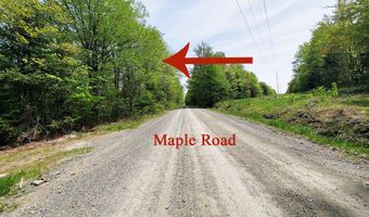 Maple Road lot 5, Atkinson, ME 04426