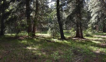 Vallecito Pl, Bayfield, CO 81122