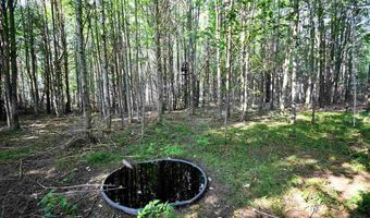 9537 LAKEVIEW, Alanson, MI 49706