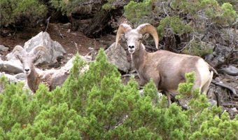 517 Deadman Creek Rd, Bridger, MT 59014
