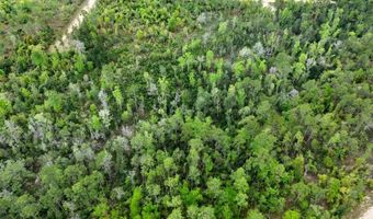 CASTLE CIRCLE, Alford, FL 32420