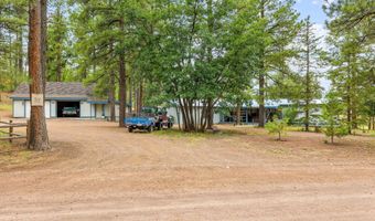 50 County Rd 2271, Alpine, AZ 85920