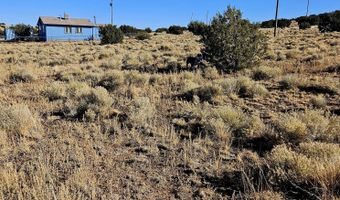 Lot 133 Circle Drive, Concho, AZ 85924