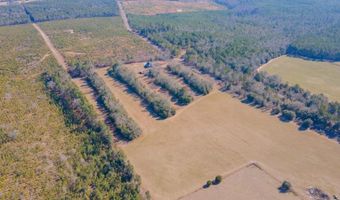185 Peach Cider Rd, Batesburg Leesville, SC 29006