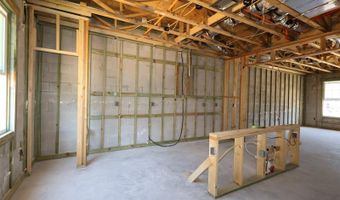 346 LADY PALM St, Apopka, FL 32703