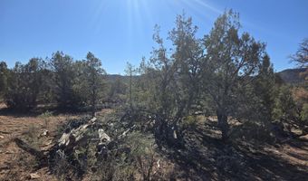 450 Arizona Rd, Ash Fork, AZ 86320