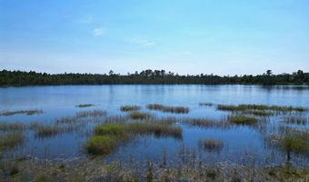Lot 8 NW Cody Ln, Altha, FL 32421