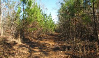Buckhead Rd, Blair, SC 29015