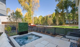 931 Gibson Ave, Aspen, CO 81611