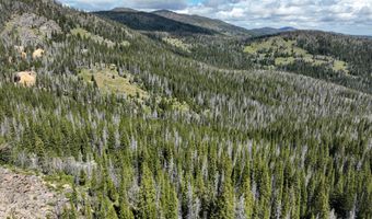 Nhn Cataract Creek Road, Basin, MT 59631