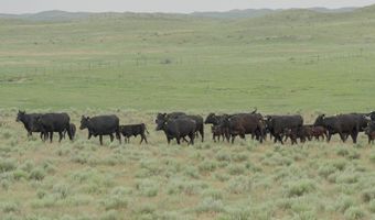 13421 Road 117a, Alliance, NE 69301