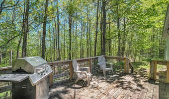 10046 Rogers Rd, Alanson, MI 49706