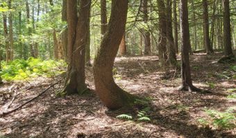 Lot 39.22 Main St, Becket, MA 01223