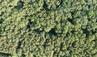 Monroe Road, Allegan, MI 49010