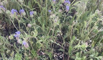 56795 Cain Rd, Anza, CA 92539