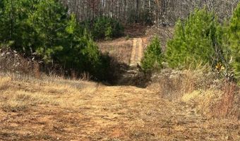0 Lot 2B Police Tower Rd Lot 2B, Appomattox, VA 24522