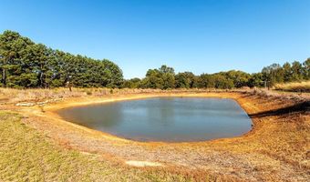 3493 S FM 17, Alba, TX 75410