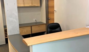 129 Emma Rd Unit B, Basalt, CO 81621
