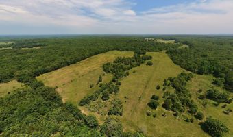 N County Road 113, Alton, MO 65606