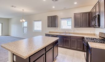 9888 N Mojave Sage Ave Plan: Parker  Plan 3542, Marana, AZ 85653