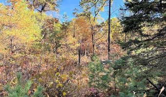 10 Acres County Road C, Arkdale, WI 54613